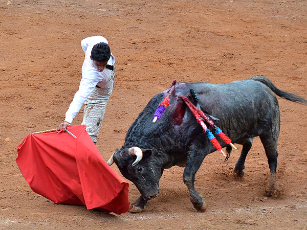 Corriendo la mano