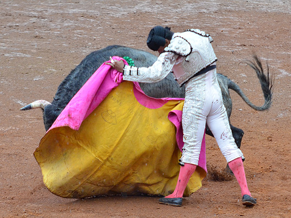 Rivera y su vernica