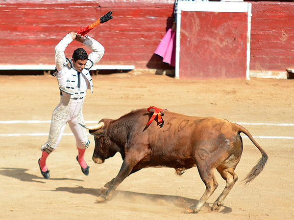 Gerardo, con los palos