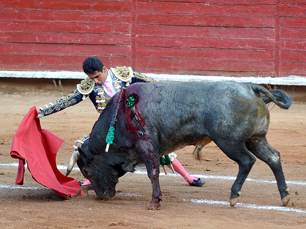 Un torero maduro