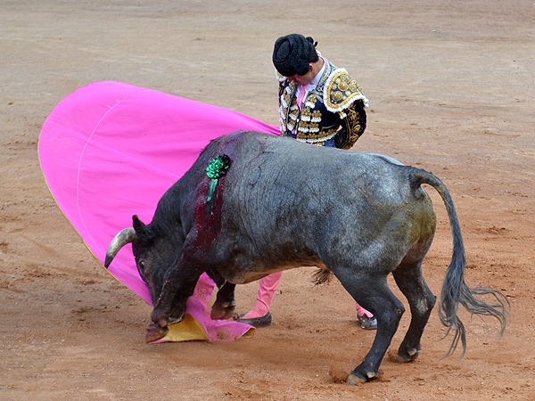 Xavi Gallardo, en accin