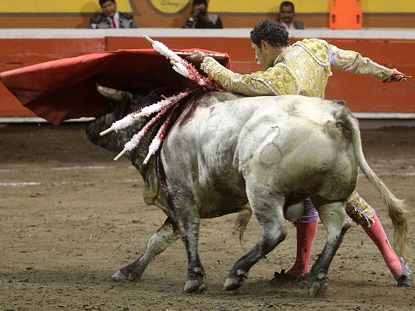 Pasndose todo el toro