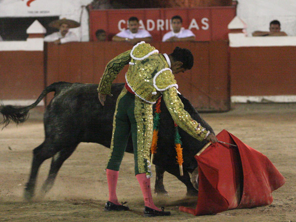 Media muleta muerta