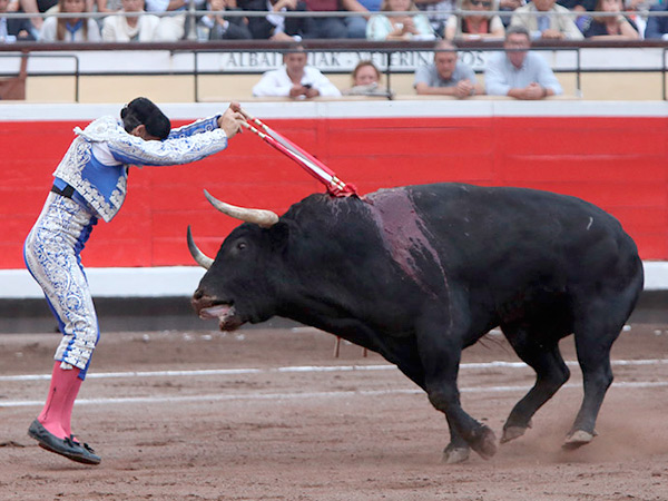 Jarocho con los palos