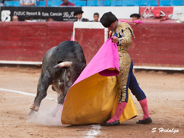 Aguantando la embestida