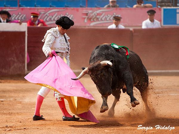 Caballero, grandes cualidades