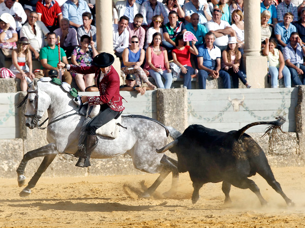 La caballista francesa