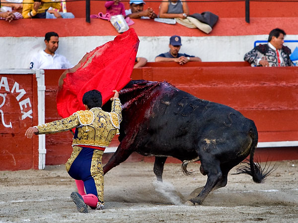 Rematando rodilla en tierra