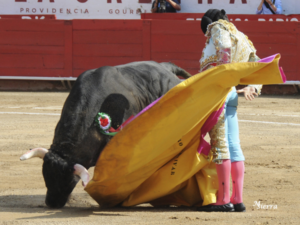 Arranca la novillada