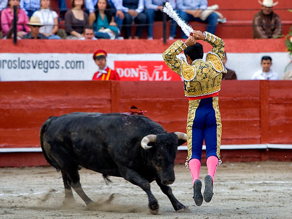 Cuadrando en la cara del toro