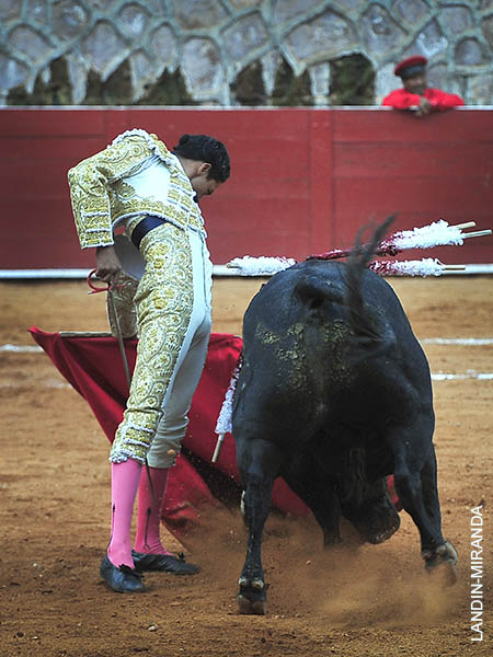 Cuajado de principio a fin