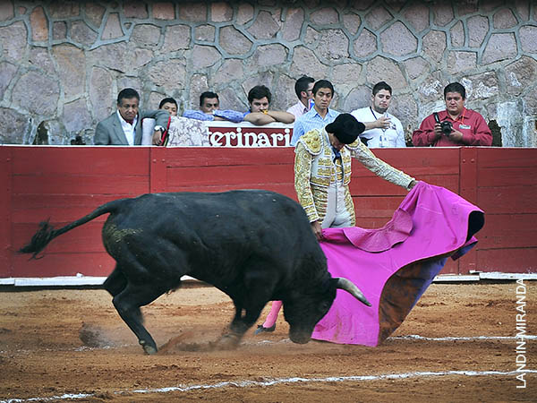 Sergio Flores se abre de capa