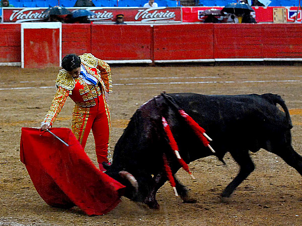 Templando bajo la lluvia, Elizabeth