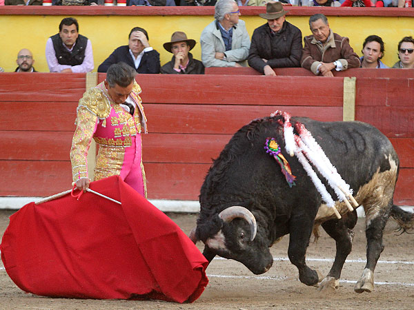 Calidad en la embestida