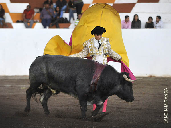 Los vuelos del capote