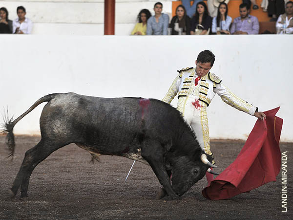 Asentado en los naturales