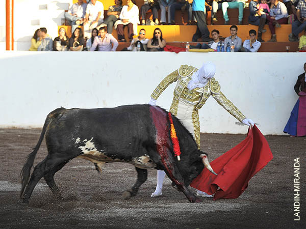 Jaleado en el trasteo de muleta