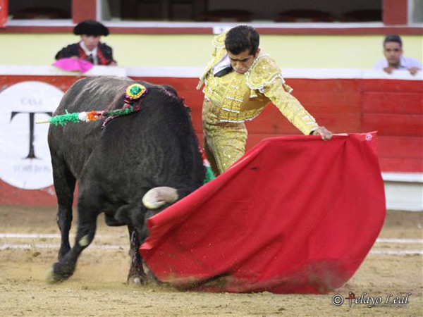 La cuadratura de la muleta