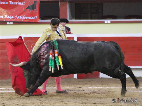 Capena de inicio