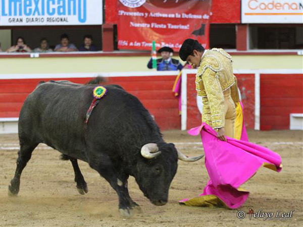 El remate de una zapopina