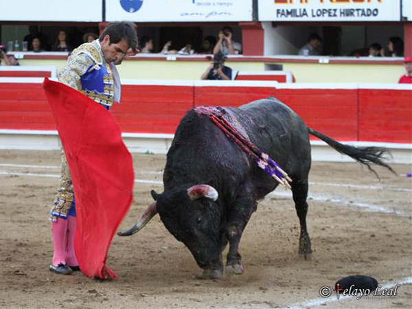 Variedad a lo largo de la faena