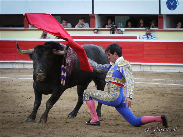 El de pecho, rodilla en tierra