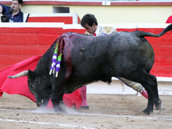 Probaturas de Arturo Macas