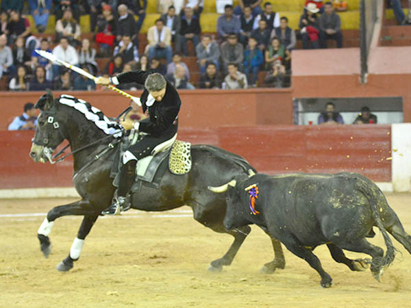 Rodando la jaca