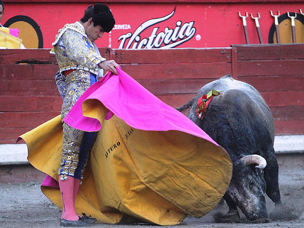 Calidad en la embestida