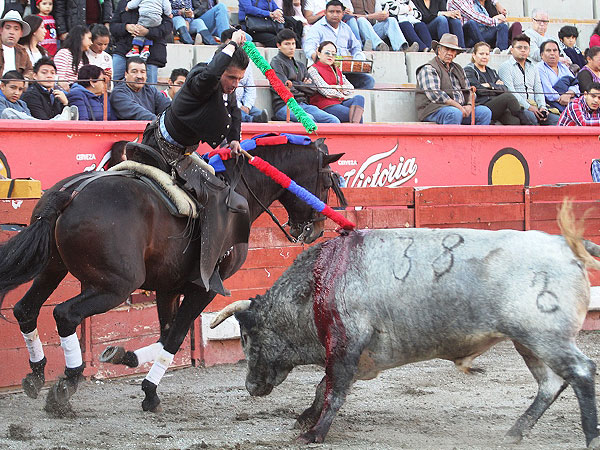 Dejando la banderilla