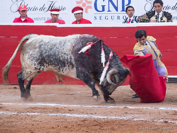 Doblones al berrendo en crdeno