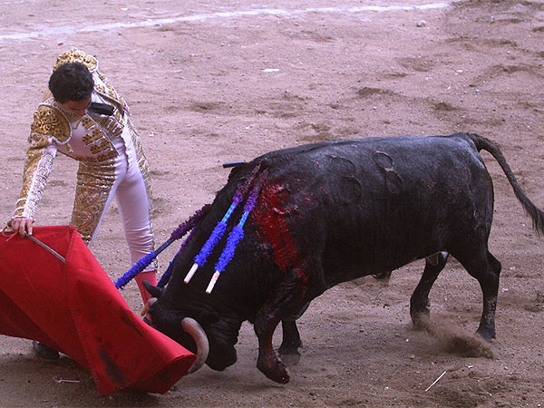 Un torero clsico