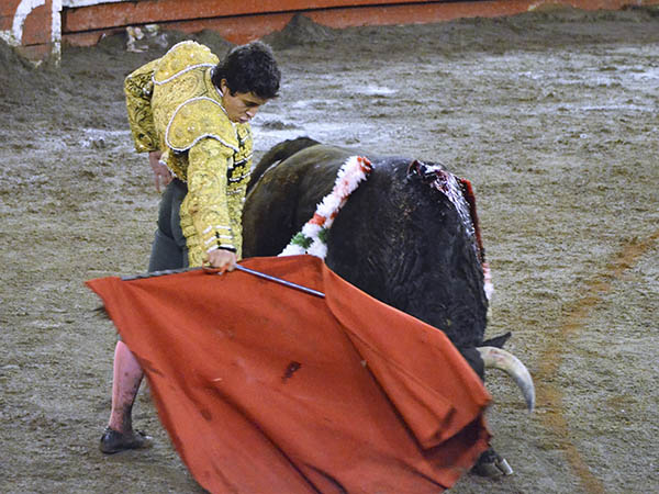 Leo debut en Colombia