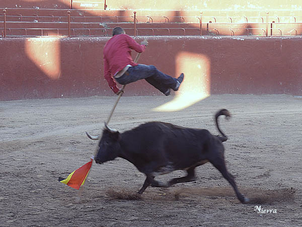 Suertes vivas de los recortadores