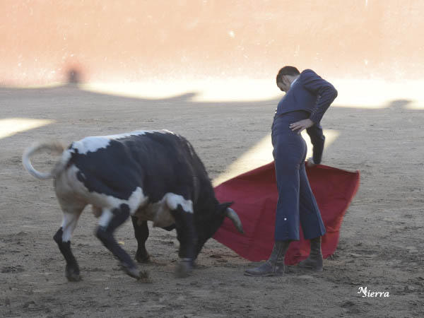 Una muestra de Ricardo