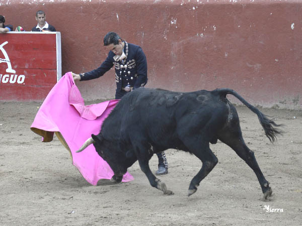 Mecidas vernicas