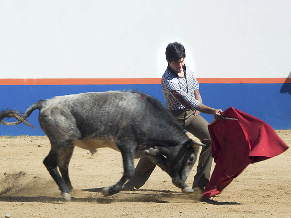 Calibrando al crdeno