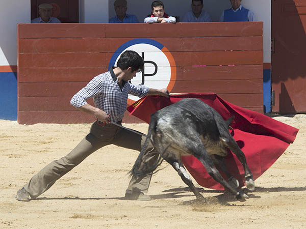 Ahormando a la erala