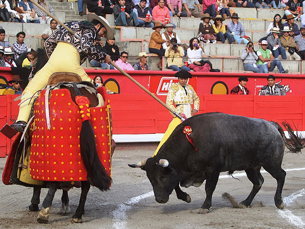 Cesar Morales un lujo