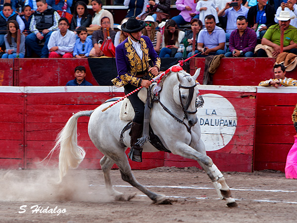 Alta escuela