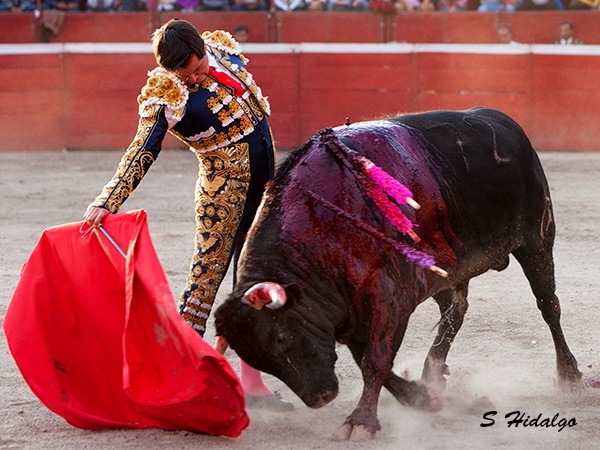 Gallardo, buena reaparicin