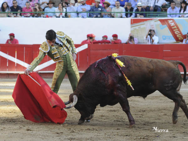 Un castao aplaudido de salida