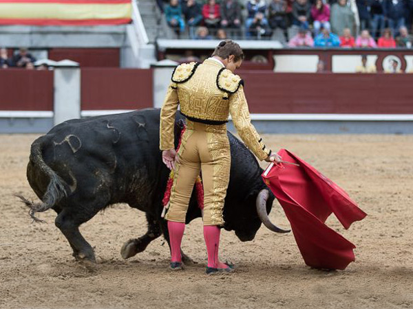 Relajado y torero