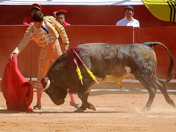 Corriendo la mano