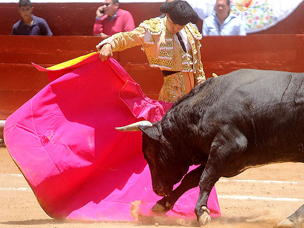 Javier Castro dejndose ver