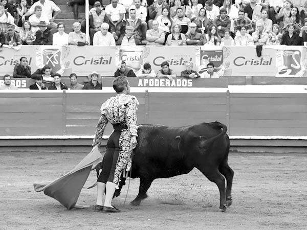 Faena en los medios