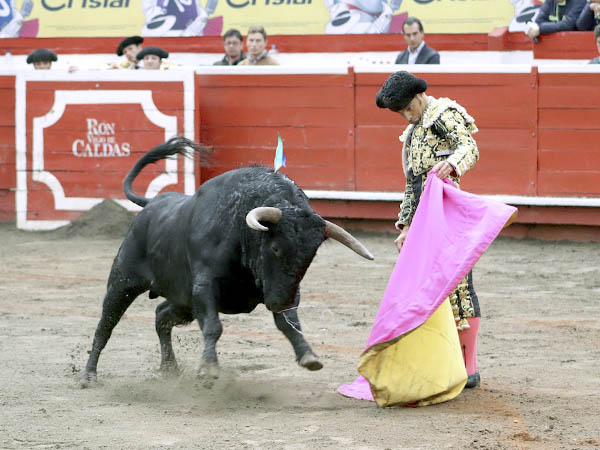 Un negro para triunfar
