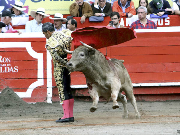 Preparando la muerte