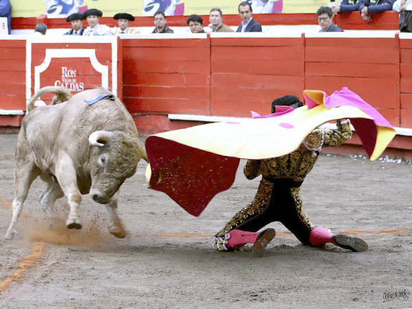 El saludo de Luis al tercero