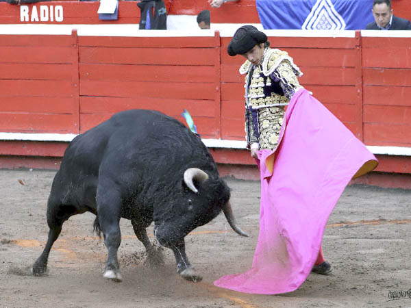 Las verónicas de Sebastián